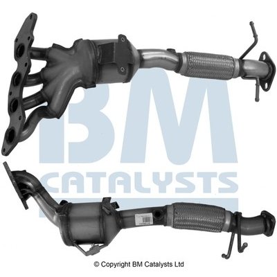 BM CATALYSTS BM91560H