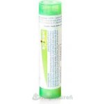 FERRUM PHOSPHORICUM POR 5CH GRA 1X4G – Hledejceny.cz