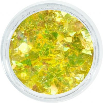 Aglia EXTREME SUMMER FLAKE glitry na nehty 0.5 g – Hledejceny.cz