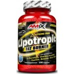 Amix Lipotropic Fat Burner 200 kapslí – Hledejceny.cz