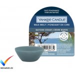 Yynke Candle Bayside Cedar vonný vosk do aromalampy 22 g – Zboží Dáma