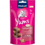 Vitakraft Cat Yums Jitrnice 40 g – Hledejceny.cz