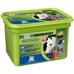 Horslyx Respiratory 15 kg – Hledejceny.cz
