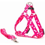 Vsepropejska Usual postroj pro psa s vodítkem – Zbozi.Blesk.cz