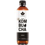 Puhdistamo kombucha bio cola 400 ml – Hledejceny.cz