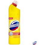 Domestos čistí a dezinfikuje Citrus Fresh 750 ml – HobbyKompas.cz