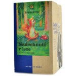 Sonnentor Nadechnutí v lese Bio 21,6 g – Hledejceny.cz