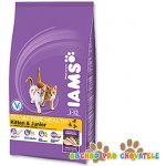 Iams Kitten & Junior All Breeds Chicken 2,6 kg – Hledejceny.cz