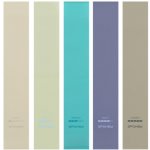 Spokey ARTIO SET Sada 5 posilovacích gum + obal – Sleviste.cz