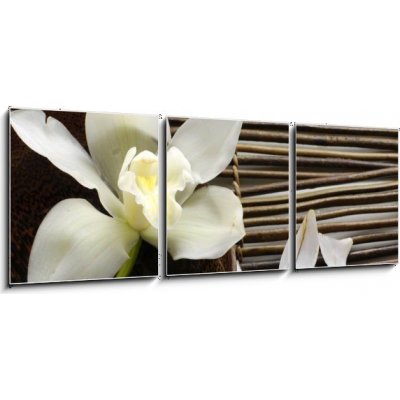 Obraz 3D třídílný - 150 x 50 cm - bowl of orchid, petal on bamboo mat miska orchideje, okvětní lístek na bambusové rohoži – Zbozi.Blesk.cz