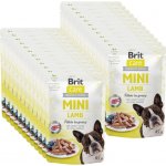 Brit Care Mini Adult Lamb 24 x 85 g – Hledejceny.cz
