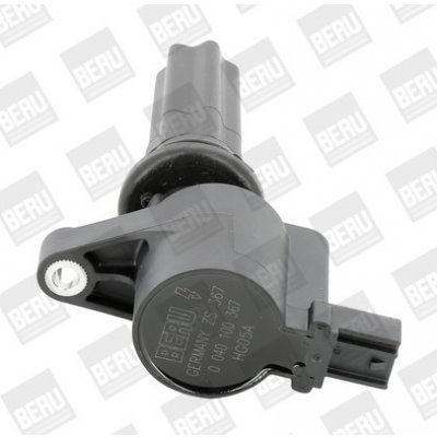 Zapalovací cívka BorgWarner (BERU) ZS367 – Hledejceny.cz