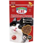 Perfecto Cat Knabber Herzen anti hairball Alpské hovězí s brusinkou 50 g – Sleviste.cz