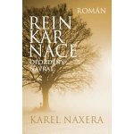 Reinkarnace - Opožděný návrat – Hledejceny.cz