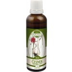 Naděje Podhorná Česnek medvědí a setý tinktura z bylin 50 ml – Sleviste.cz