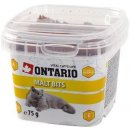 Ontario Snack Anti Hairball Bits 75 g