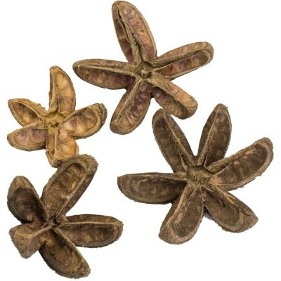 Vánoční Dekorace Bullet flower 4 ks – Hledejceny.cz