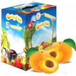 Ovocňák meruňkový mošt 5L – Zboží Dáma