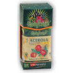 VitaHarmony Acerola 500 mg+Vitamin C 250 mg 90 tablet – Hledejceny.cz