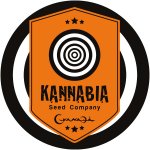 Kannabia Seeds CBDV AUTO semena neobsahují THC 1 ks – Zboží Dáma