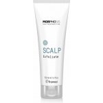 Framesi SCALP Scalp Exfoliate peeling vlasové pokožky 150 ml – Hledejceny.cz