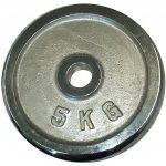 KUBIsport Kotouč chrom 5 kg 30 mm – Zboží Mobilmania