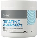 OstroVit Creatine Monohydrate, 300 g – Zboží Dáma