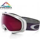 Oakley Crowbar