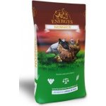 Energys Krmivo pro nosnice Gold 25 kg – Sleviste.cz