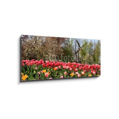 Obraz 1D - 120 x 50 cm - Holland windmills and tulips Holland větrné mlýny a tulipány – Zboží Mobilmania