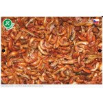 Dajana Gammarus 100 ml – Zboží Dáma