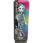 Mattel Monster High Fashion Frankie Stein – Hledejceny.cz