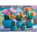 Cherry Pazzi Kvetoucí kaktusový ohňostroj 1000 dílků – Sleviste.cz