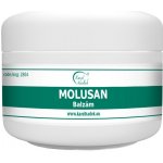 Karel Hadek Molusan balzám na molusky 5 ml – Hledejceny.cz