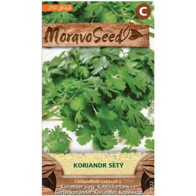 Semínka MoravoSeed Koriandr setý 71722 – Hledejceny.cz