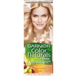 Garnier Color Naturals Créme 2.10 modročerná barva na vlasy – Zbozi.Blesk.cz