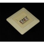 OEM YF-307CE-FSDIV – Zboží Živě