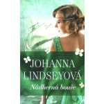 Nádherná bouře - Lindseyová Johanna – Hledejceny.cz