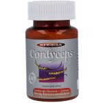 Meridian Cordyceps Sinensis 60 kapslí – Hledejceny.cz