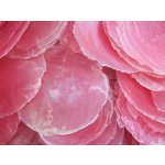 Dijk Natural Collection Mušle Capiz shell rosa 100 g – Sleviste.cz