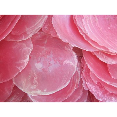 Dijk Natural Collection Mušle Capiz shell rosa 100 g – Sleviste.cz
