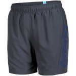 Arena Fundamentals Arena Logo Boxer R – Hledejceny.cz