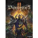 Dungeons 3