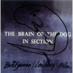 Fred Lonberg - Holm - The Brain Of The Dog In Section Peter Brotzmann – Sleviste.cz