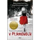 V plamenech