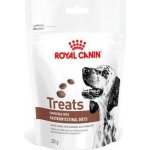 Royal Canin Dog Gastrointestinal Treats 230 g – Zboží Mobilmania