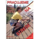 Pracujeme na střeše