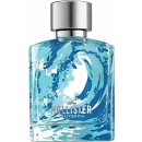 Hollister Wave toaletní vod pánská 50 ml