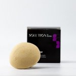 Kvitok Hair Booster tuhý šampón 50 g – Zbozi.Blesk.cz