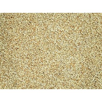 GRIZLY Quinoa bílá 1000g